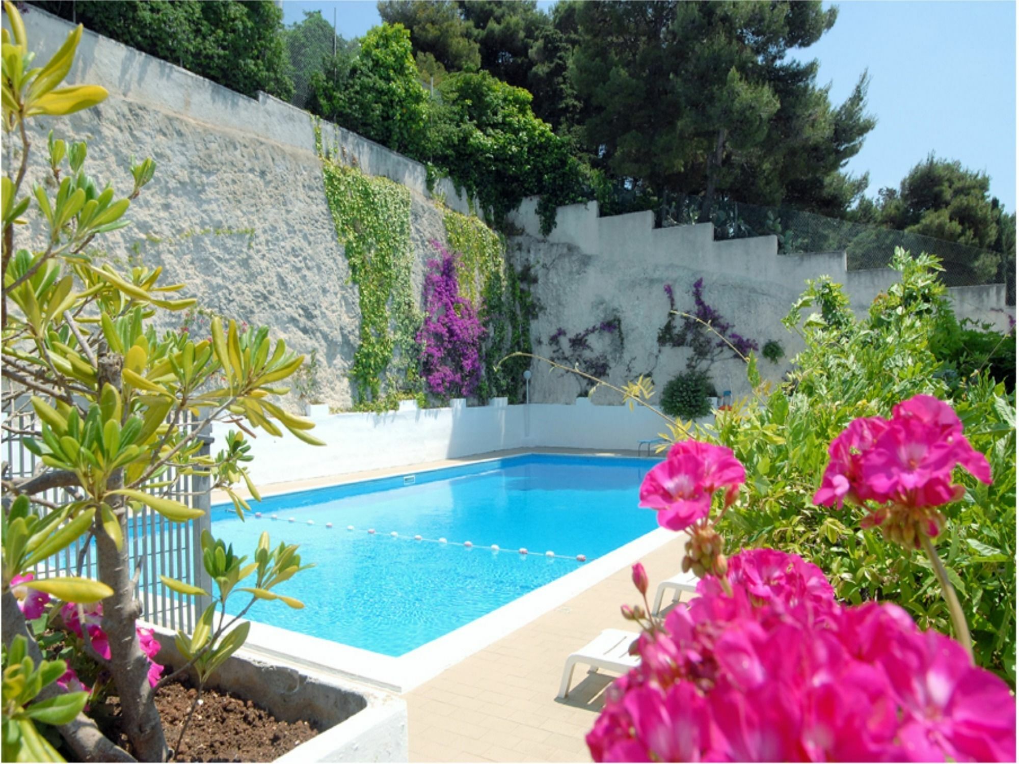 Hotel Timiama Peschici Exterior photo